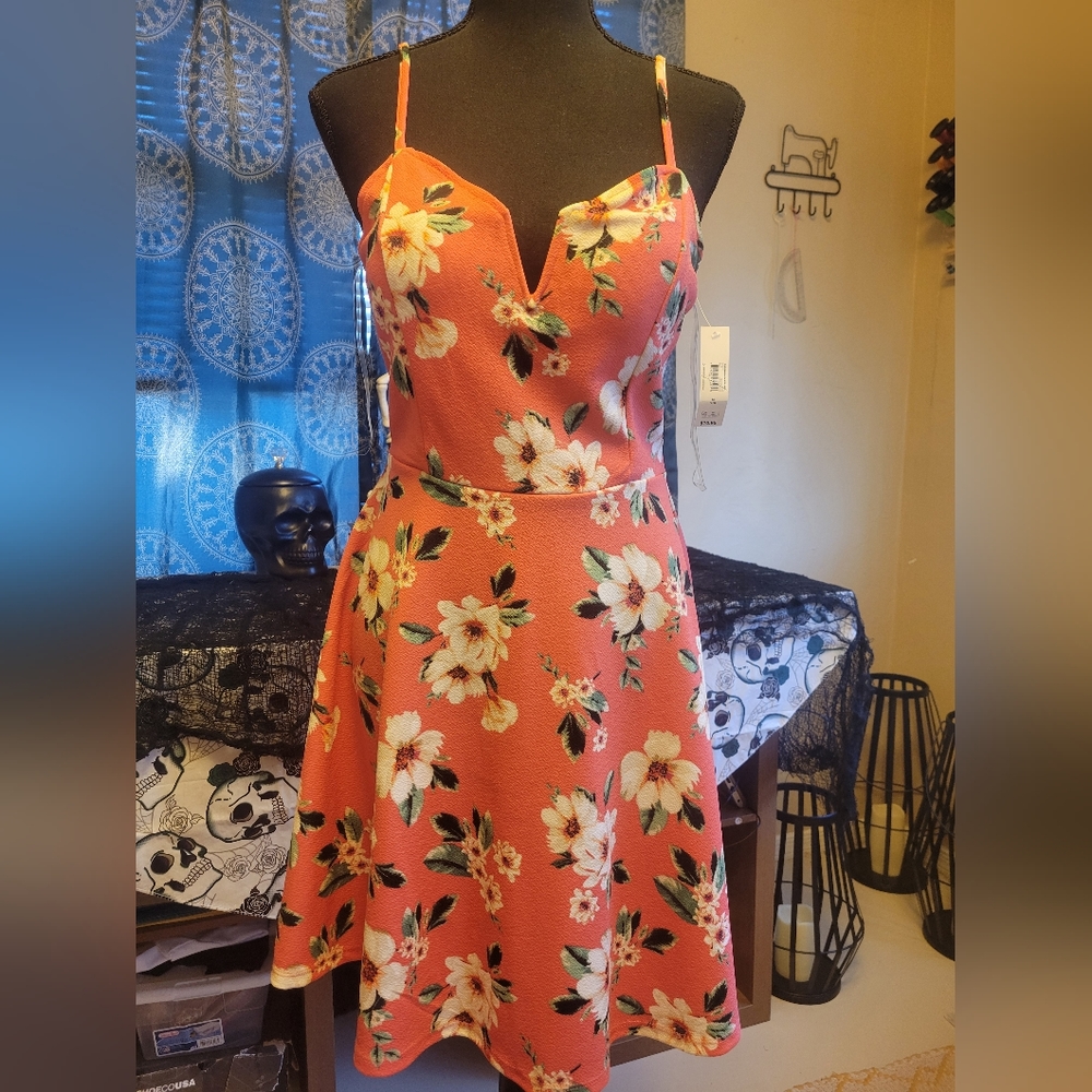 No Boundaries NWT Skater Dress Floral